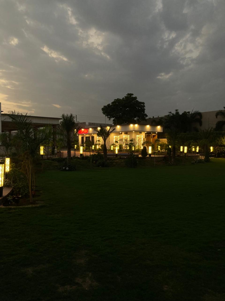 Night lights